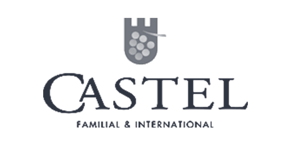 LOGO-PARTENAIRES-CASTEL